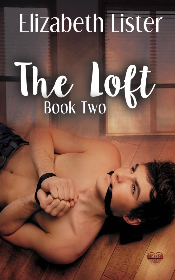 The Loft Book Two - Elizabeth Lister