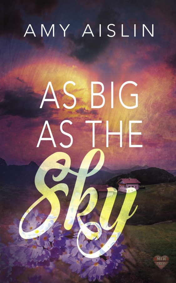 As Big As the Sky - Amy Aislin