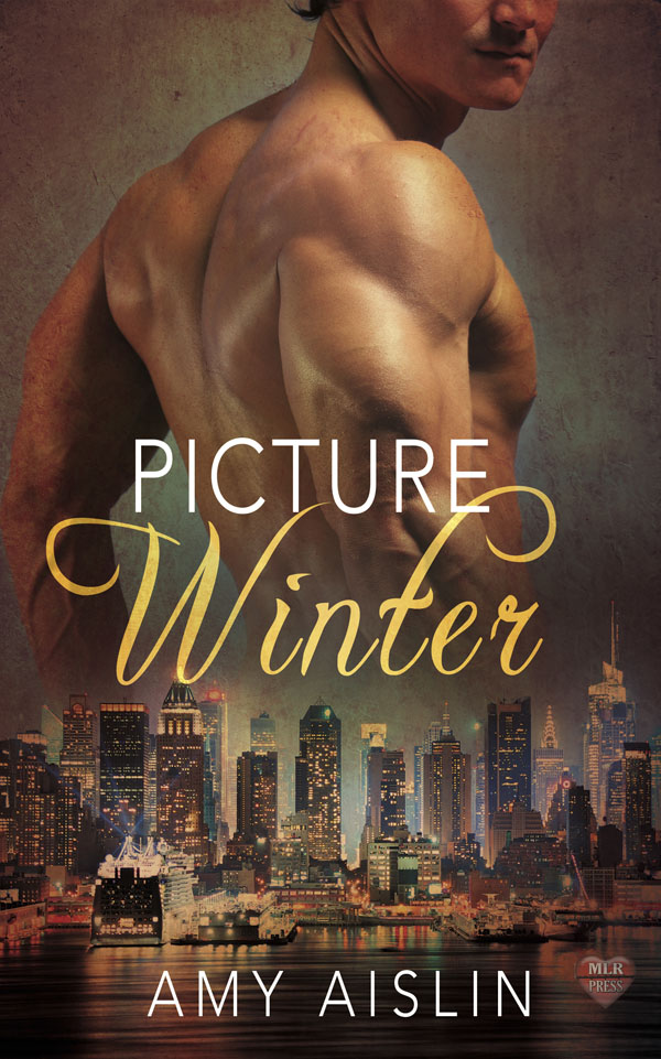 Picture Winter - Amy Aislin