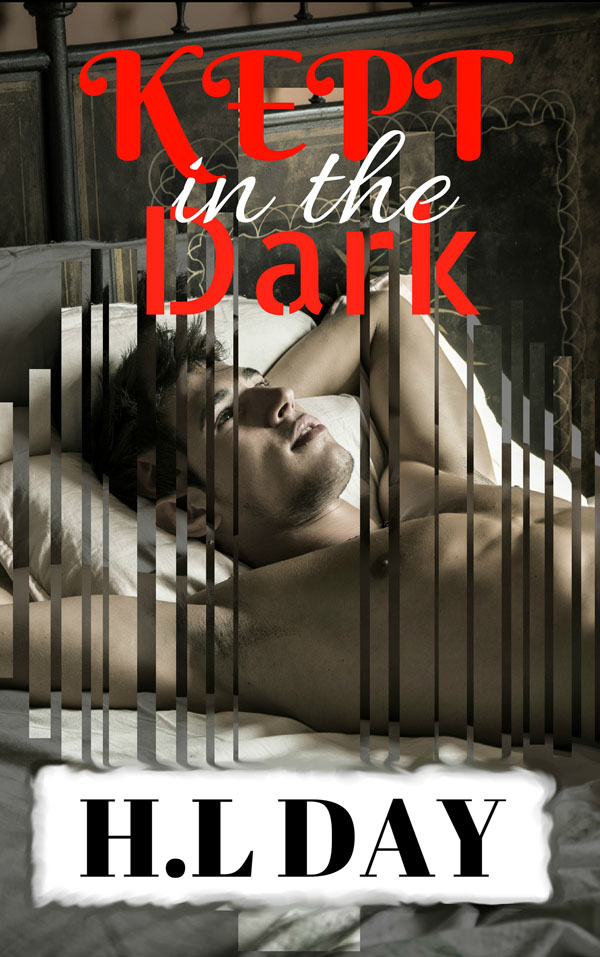 In the Dark - H.L. Day
